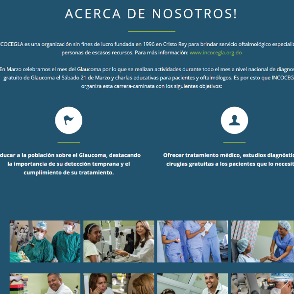 Web Design & Development | Instituto Contra la Ceguera por Glaucoma