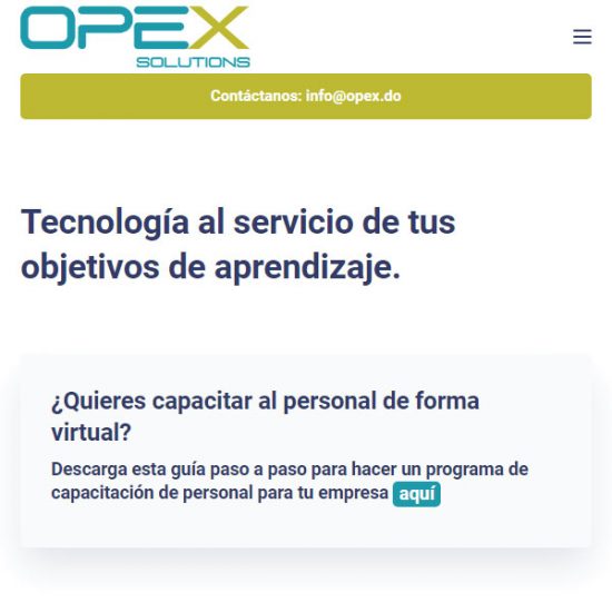 Search Engine Optimization | Opex Solutions