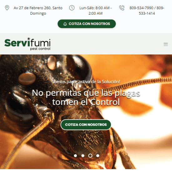 Web Design & Development | Servifumi